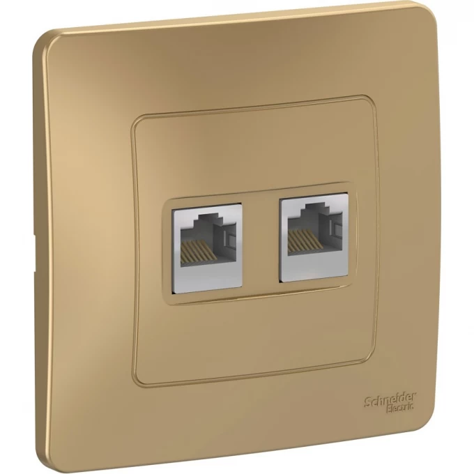 Розетка двойная компьютерная SCHNEIDER ELECTRIC BLANCA с/у, RJ45, кат.5E, титан BLNIS045454 Розетка двойная компьютерная SCHNEIDER ELECTRIC BLANCA с/у, RJ45, кат.5E, титан BLNIS045454